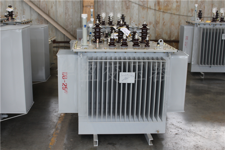 阿里S20-800kVA/10kV/0.4kV变压器